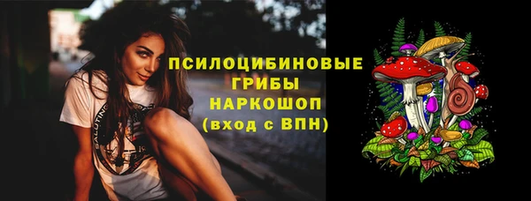 spice Богородицк
