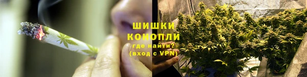 spice Богородицк
