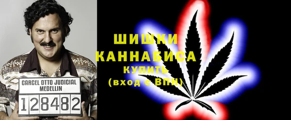 ПСИЛОЦИБИНОВЫЕ ГРИБЫ Богородск
