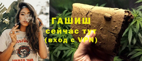 spice Богородицк