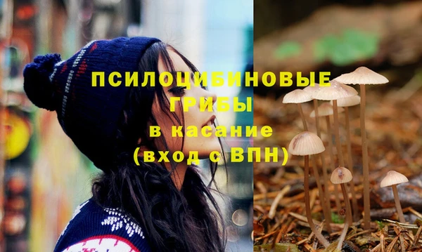 spice Богородицк