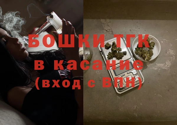spice Богородицк