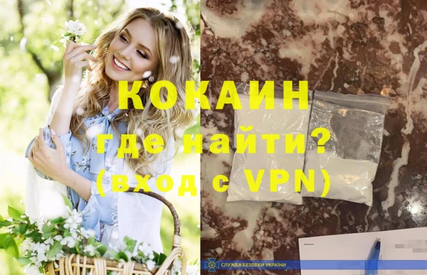 spice Богородицк