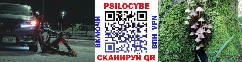 Псилоцибиновые грибы прущие грибы  Купить где  Нурлат 